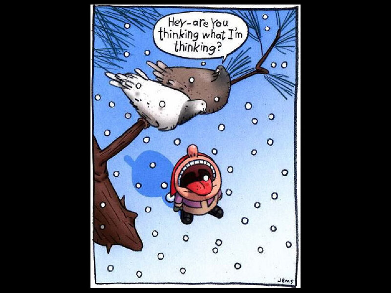 Pigeon and Character in Snow