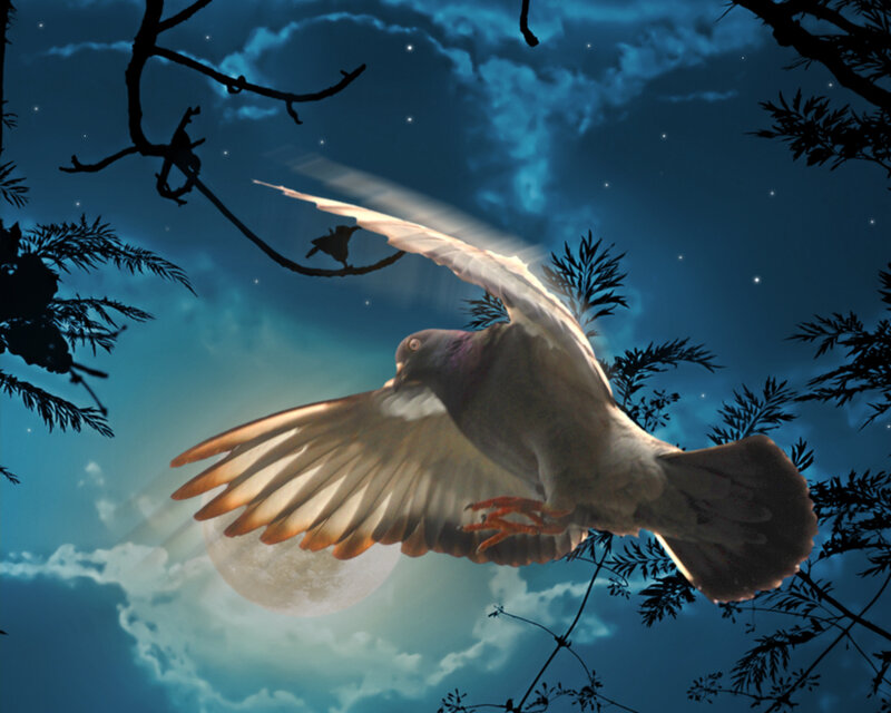 Pigeon Flying at Night — Blue