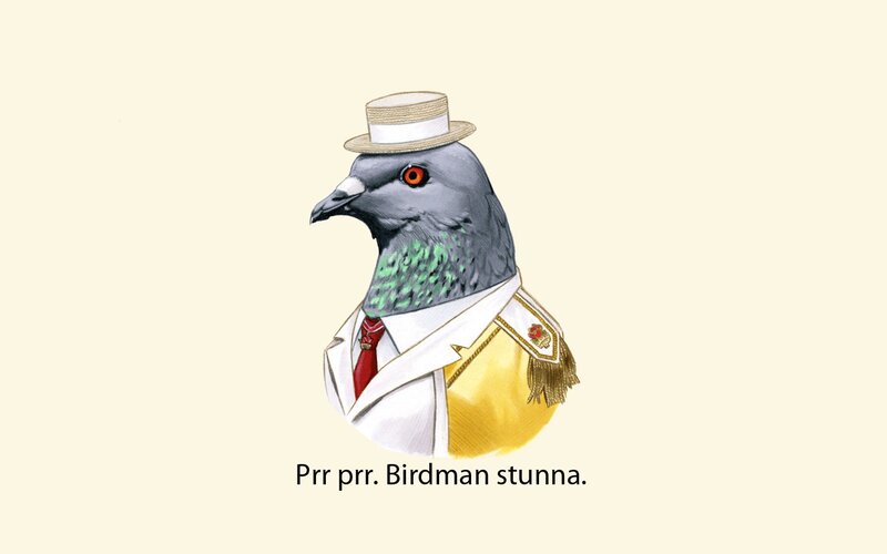 Pigeon in Military Uniform