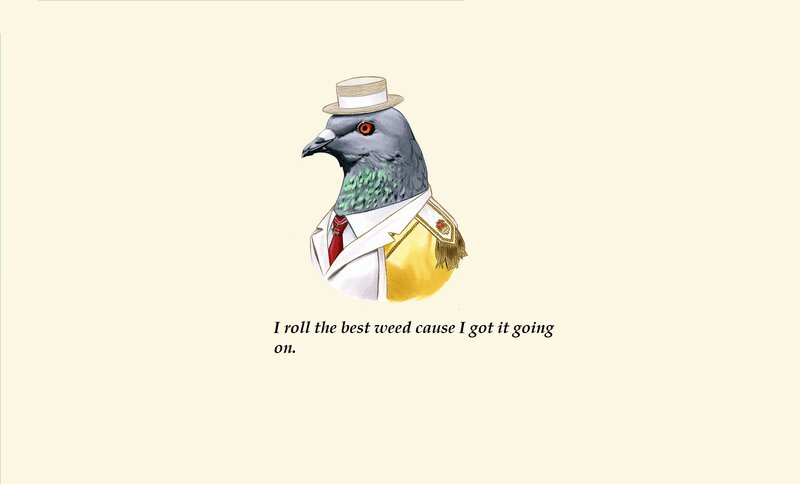 Pigeon in Uniform