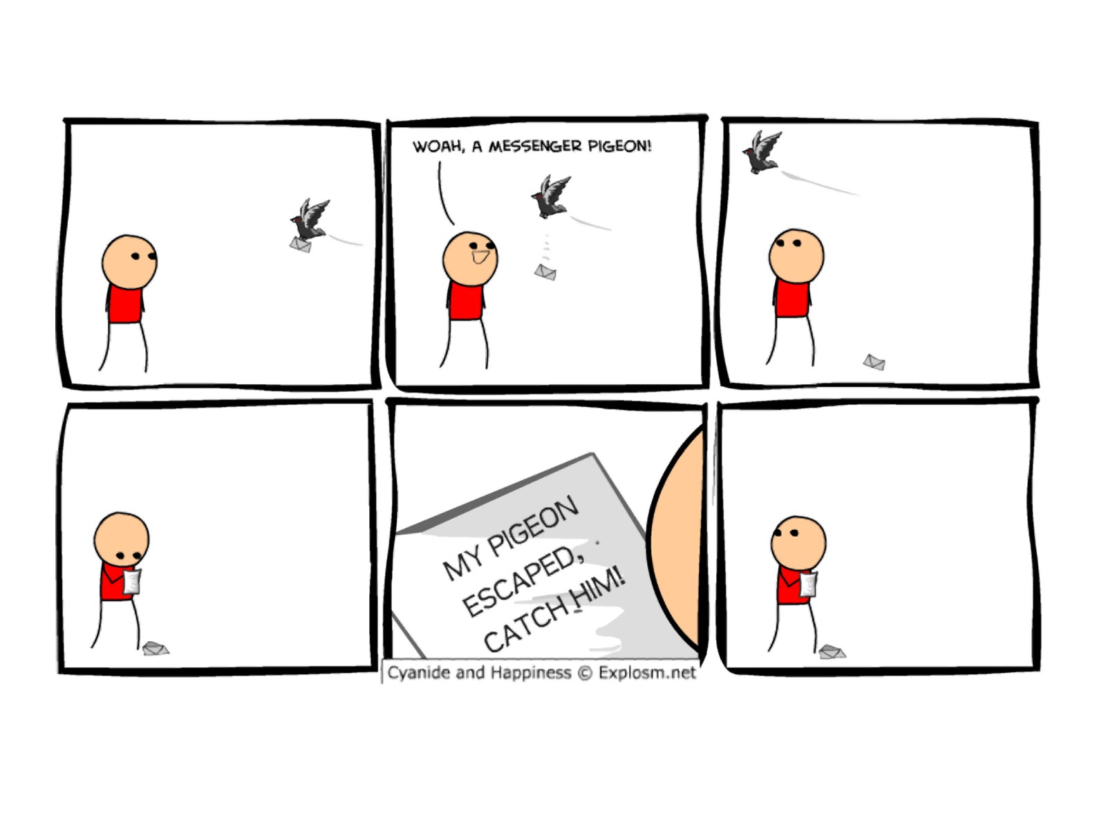 Pigeon Messenger Comic