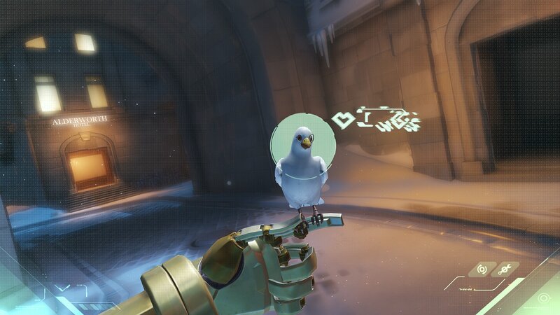 Pigeon on Robotic Arm