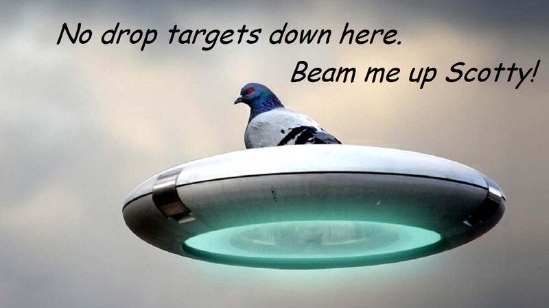 Pigeon on UFO — Gray