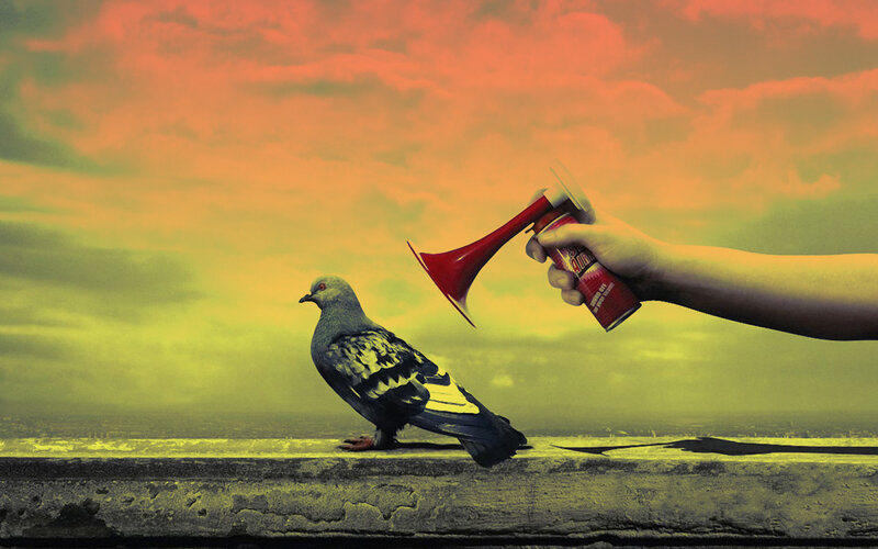 Pigeon with air horn