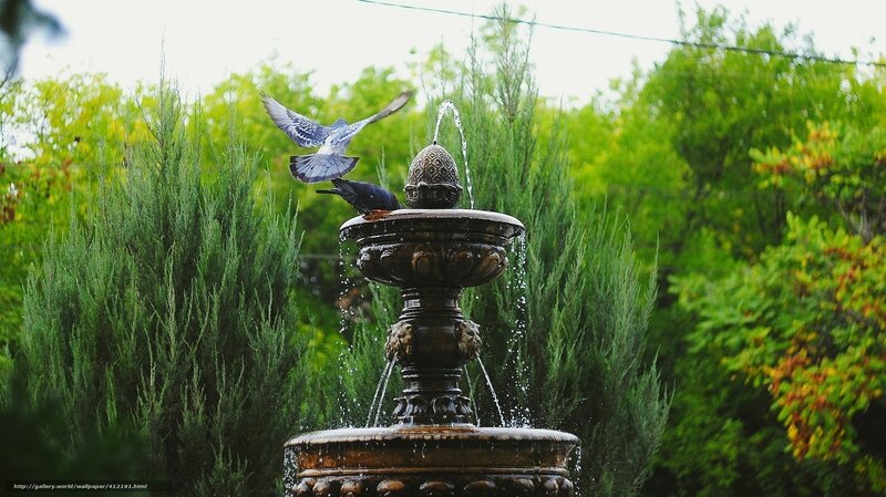 Pigeons at a garden fountain