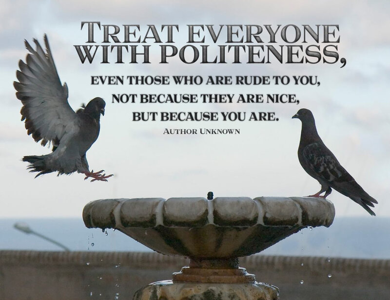 Pigeons at Fountain