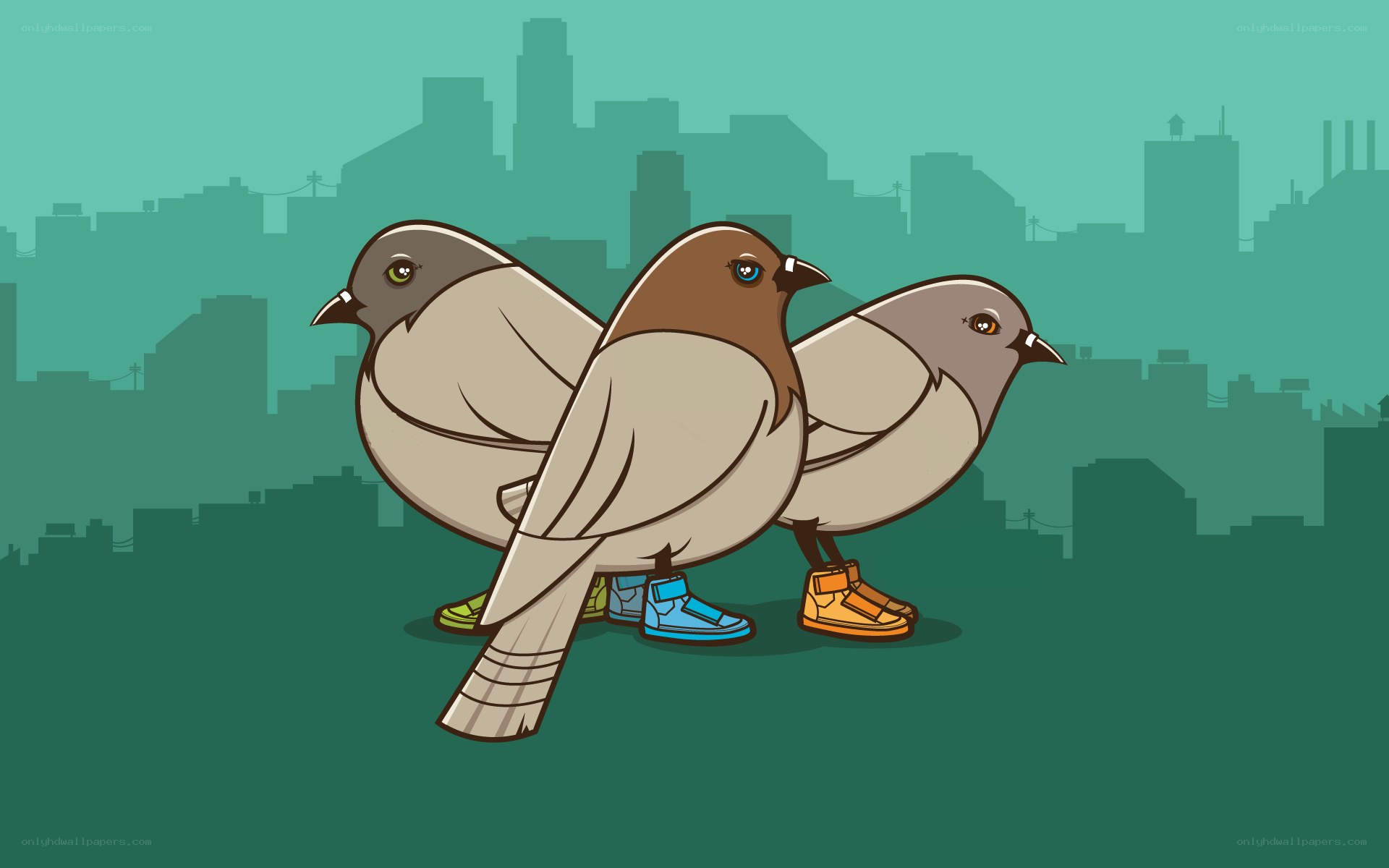 pigeons in sneakers