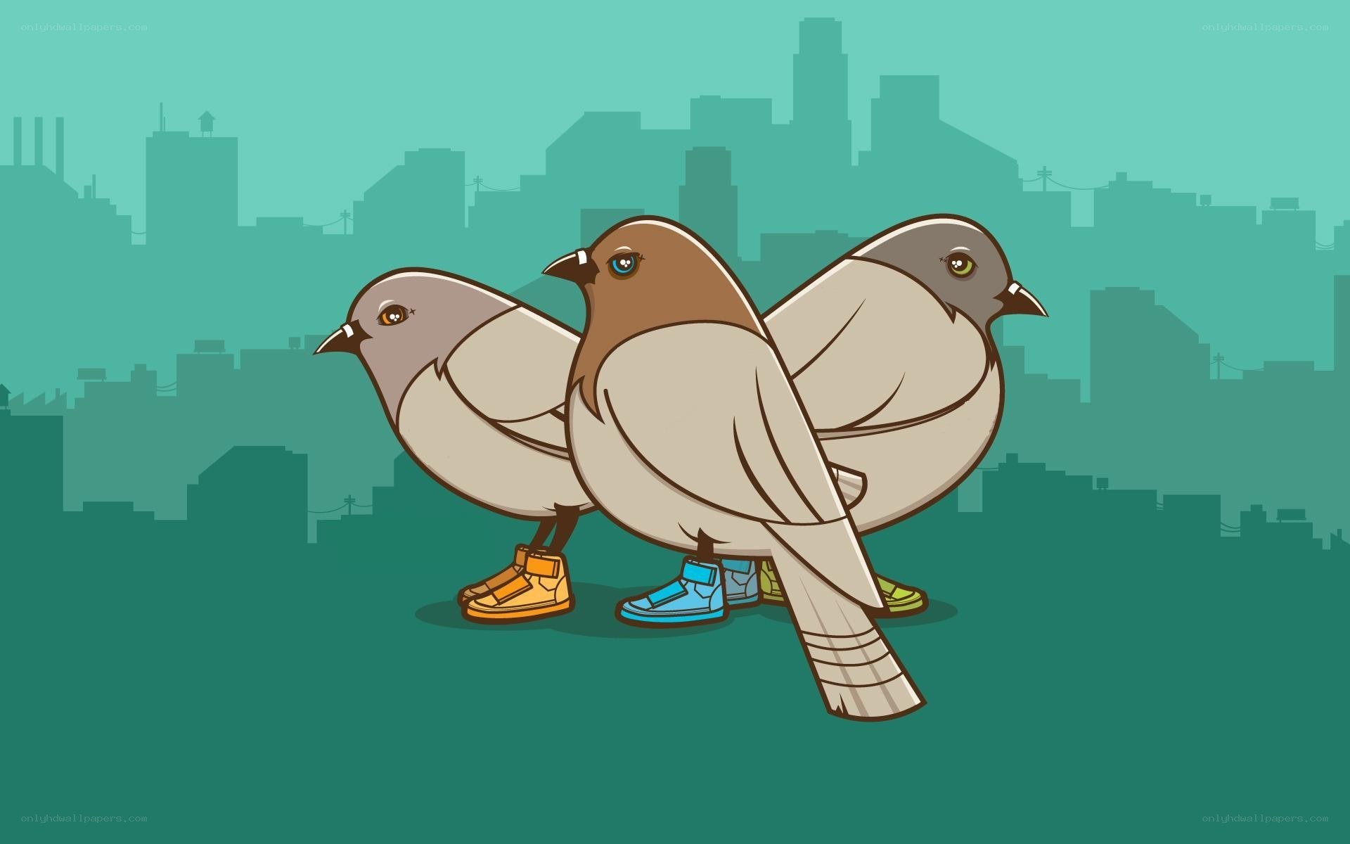 pigeons in sneakers