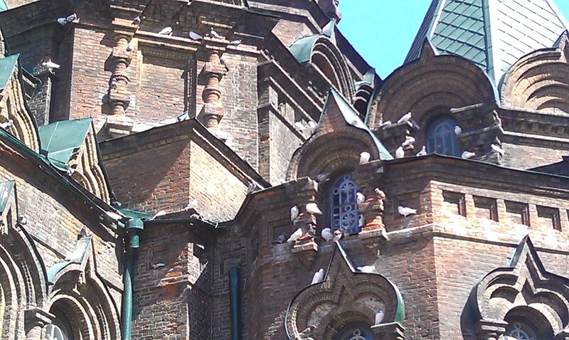 Pigeons on a brick church