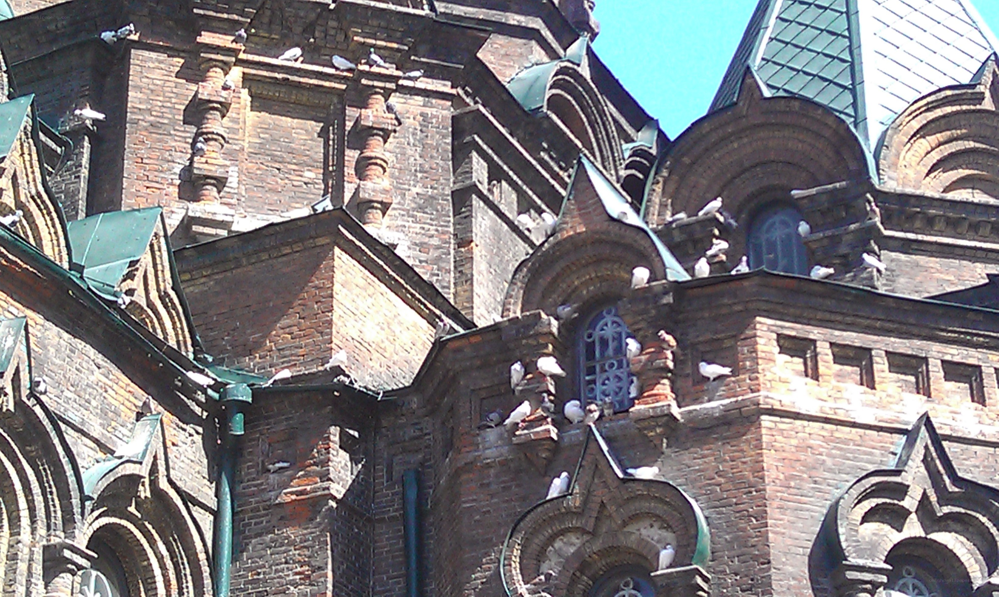 Pigeons on a brick church