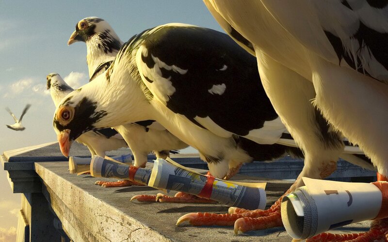 Pigeons on a Ledge — White