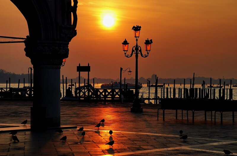 Pigeons on a Pier — Orange