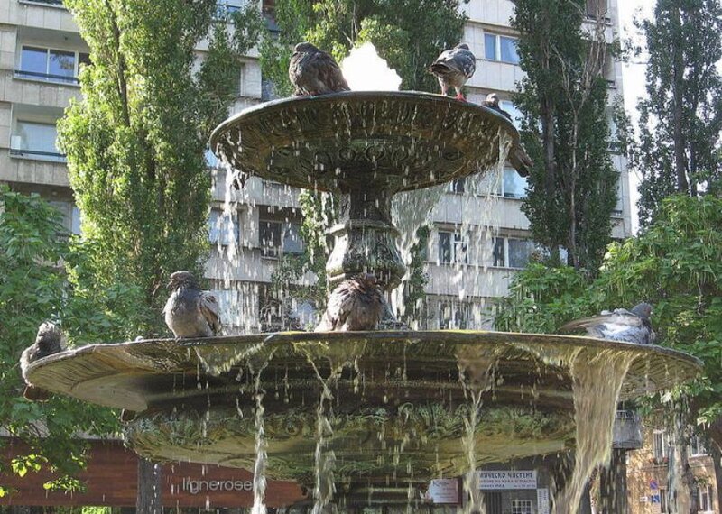 Pigeons on Fountain
