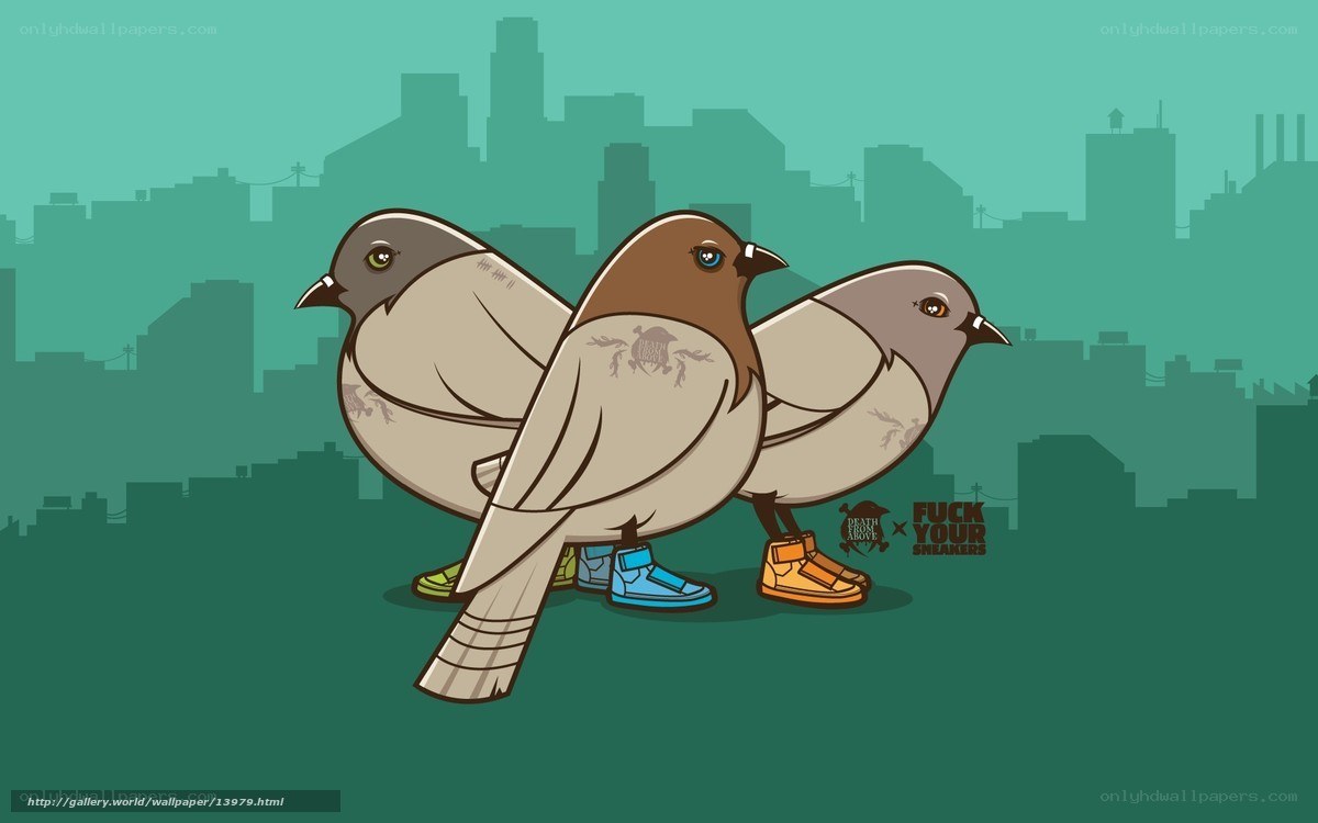 Pigeons with sneakers in city