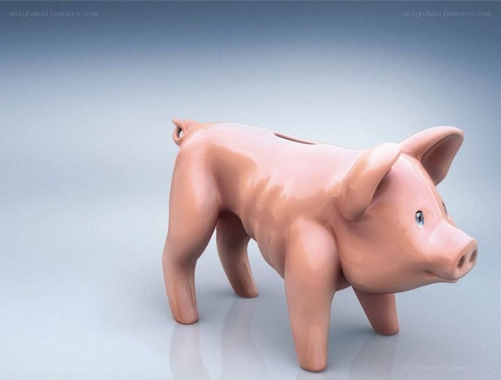 piggy bank pig