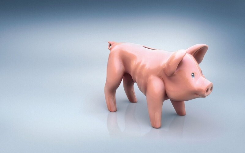 piggy bank pig