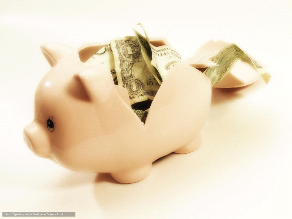 Piggy bank with money