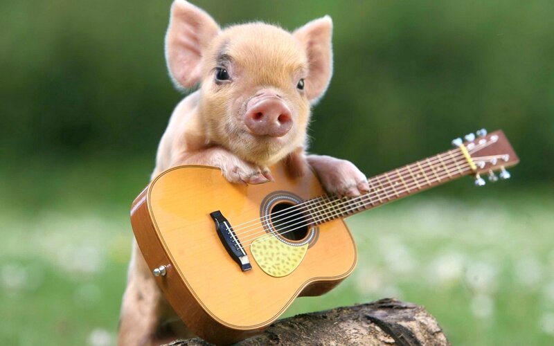Piglet Holding Guitar — Green