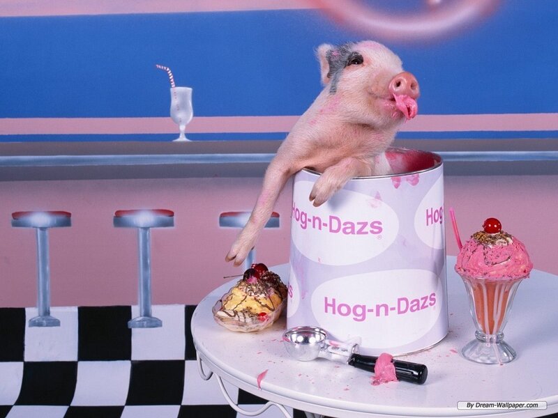 Piglet in Ice Cream Tub