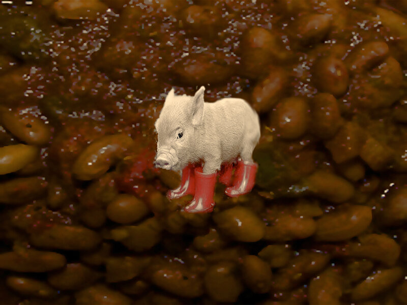 piglet in red boots