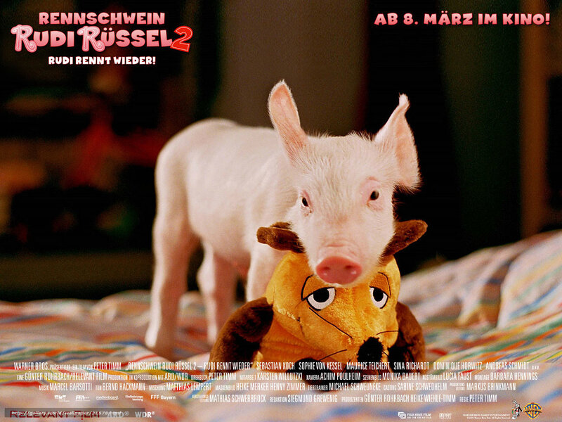 Piglet on Bed