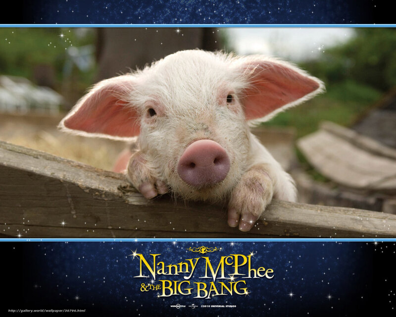 Piglet on Wooden Beam