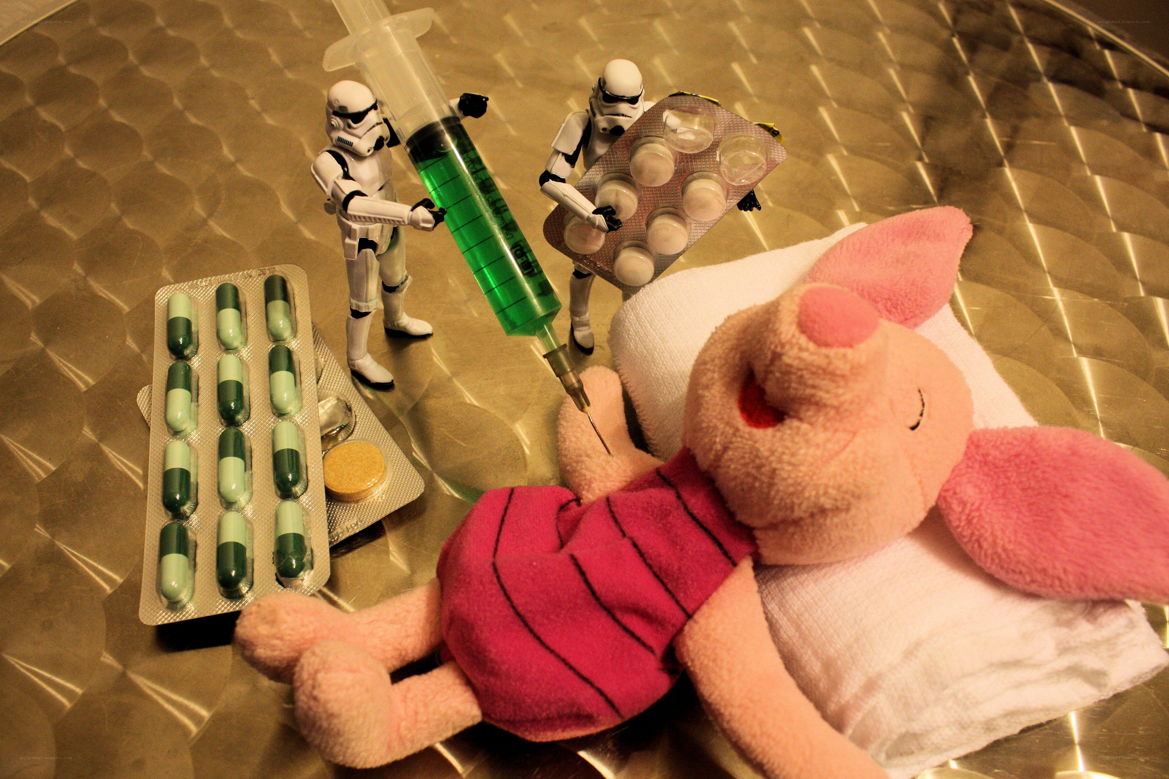 Piglet receiving medical treatment
