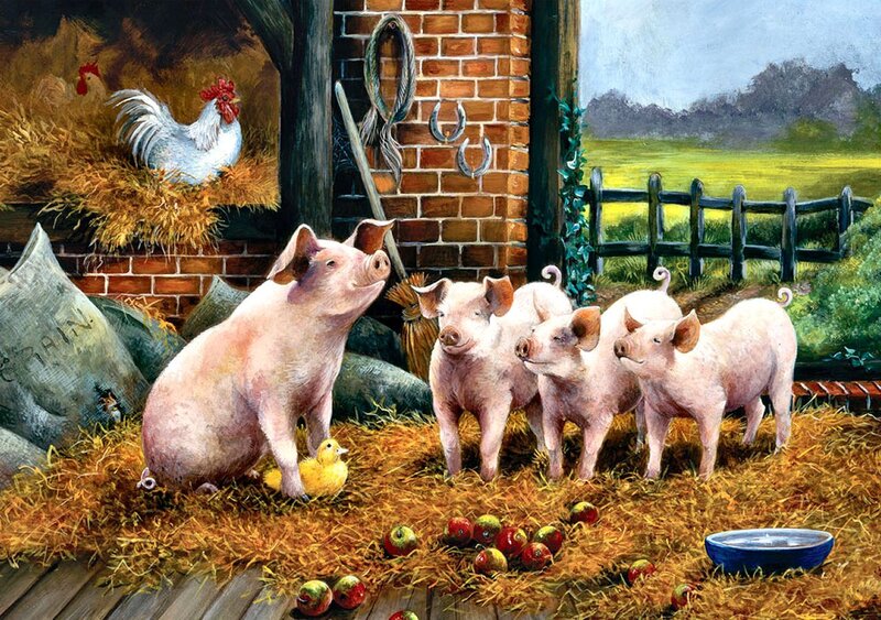 Piglets in Barn