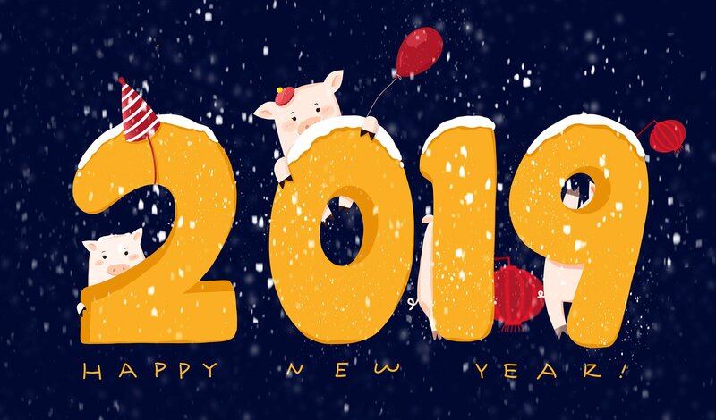 Pigs in 2019 Numbers