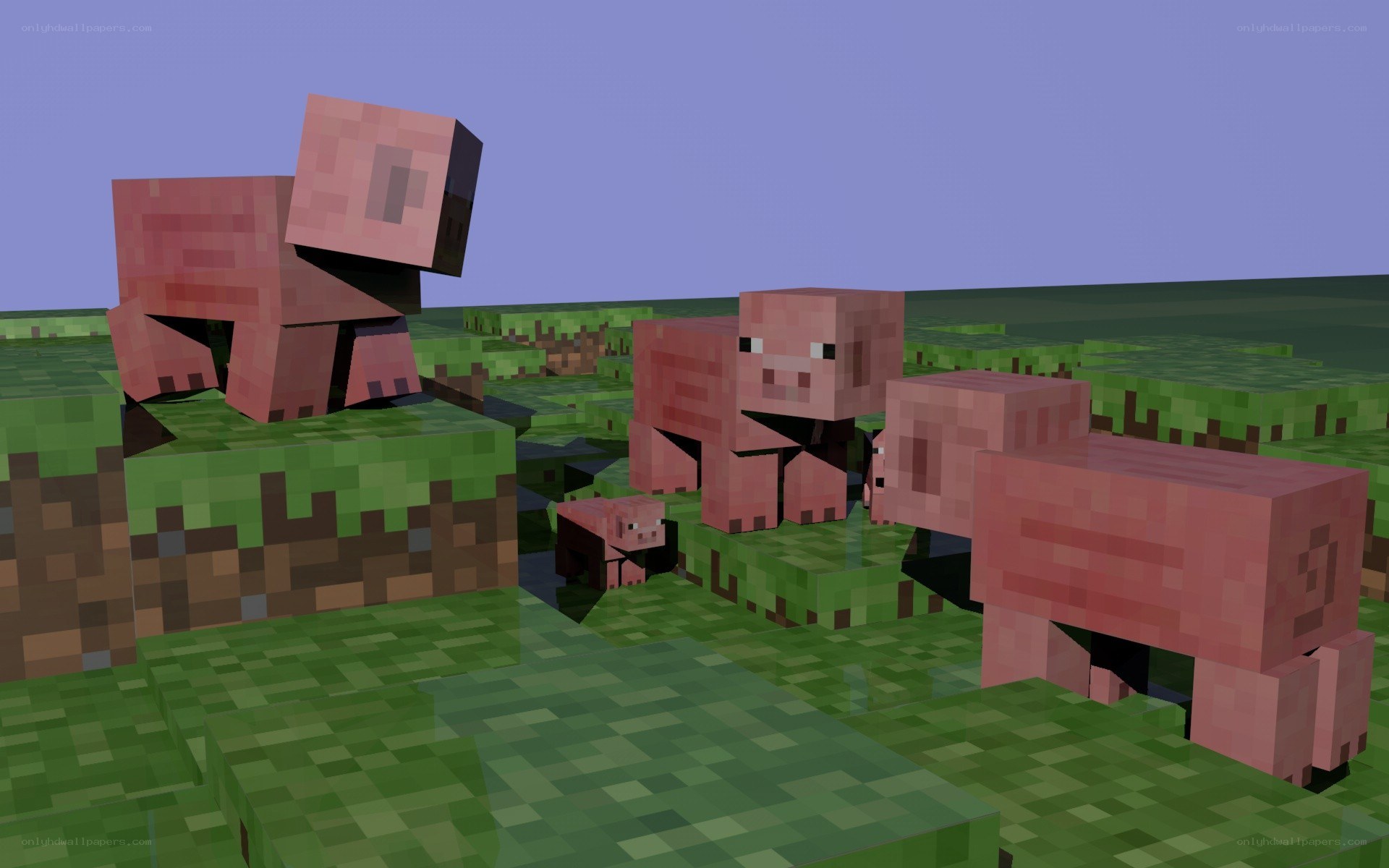 Pigs in a Minecraft landscape