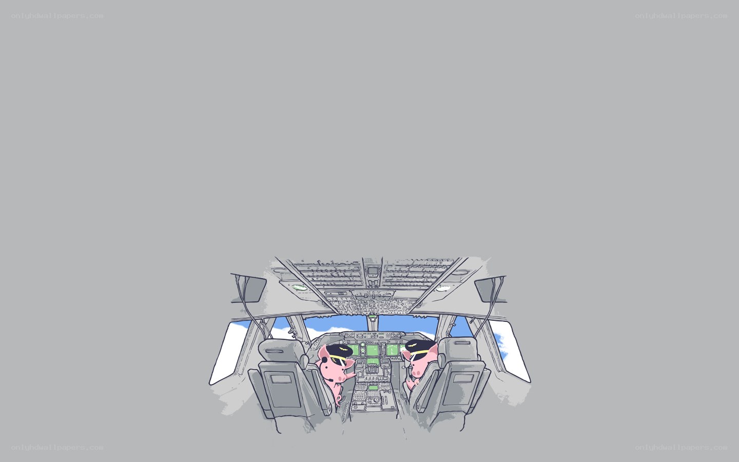 pigs in airplane cockpit