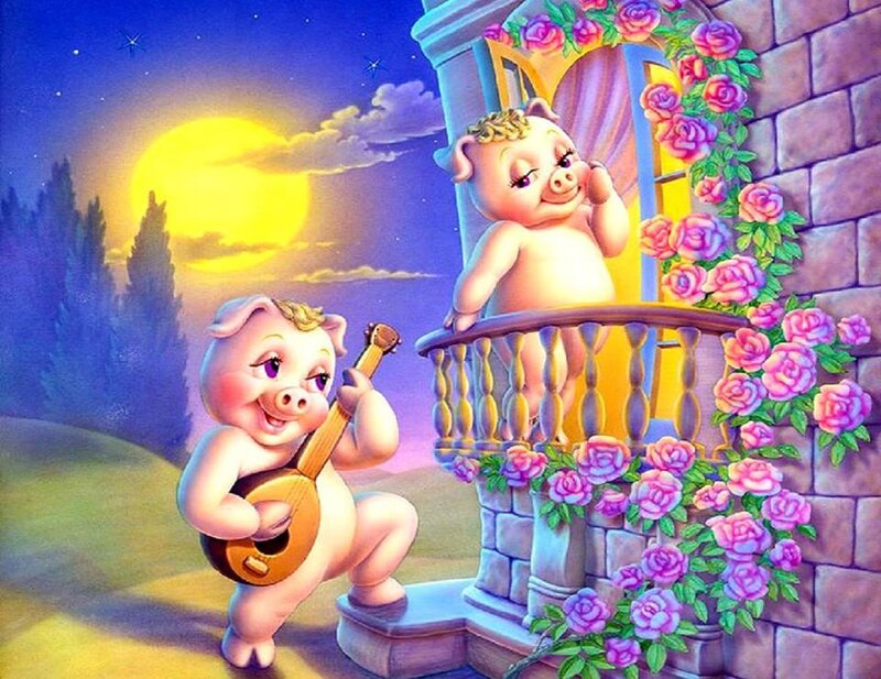 Pigs on Balcony