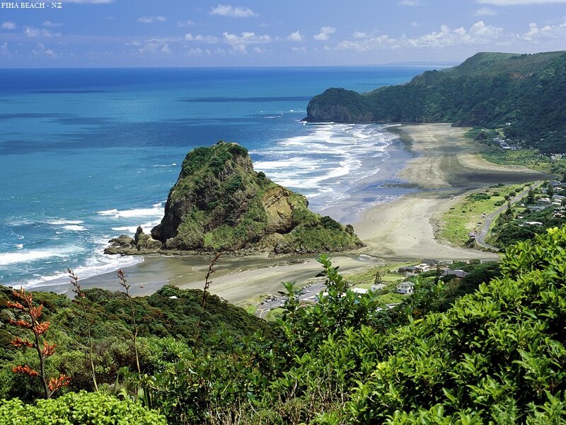 Piha Beach with Rock