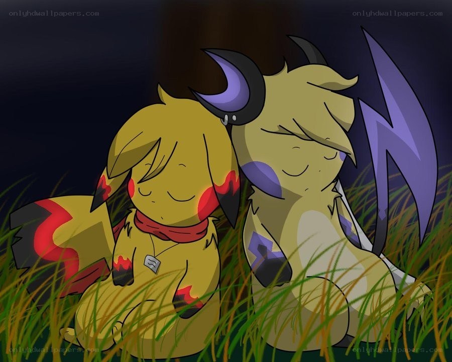 Pikachu and Raichu sleeping