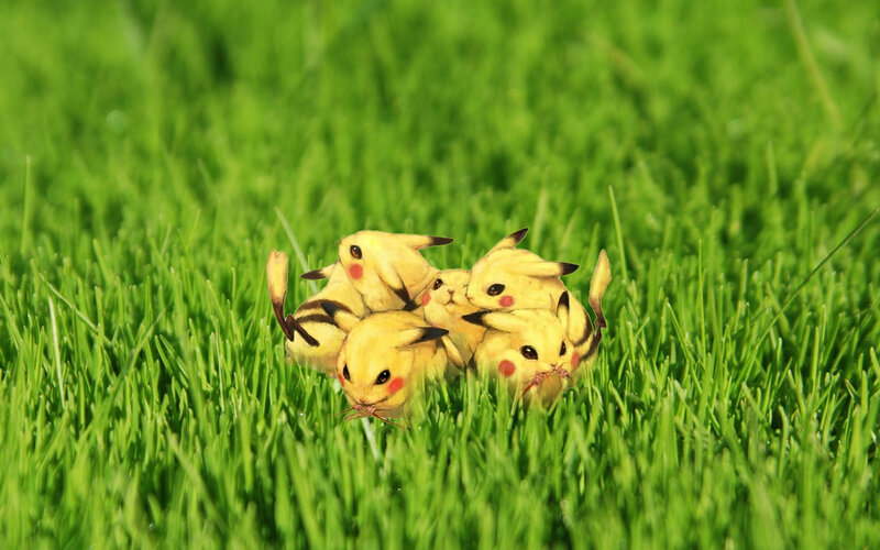 Pikachu babies in grass