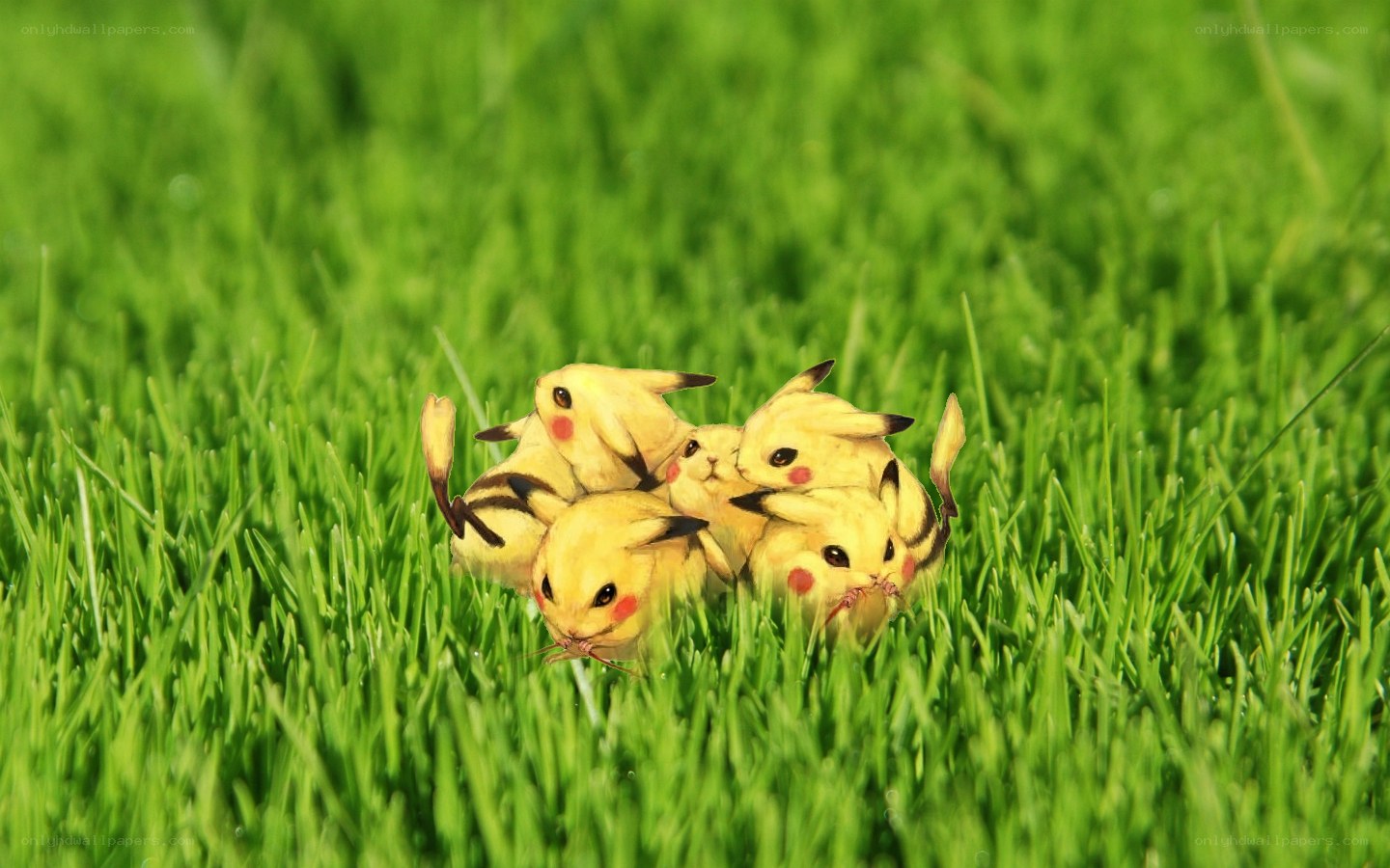 Pikachu babies in grass