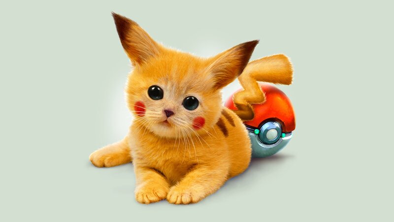 pikachu cat with pokeball