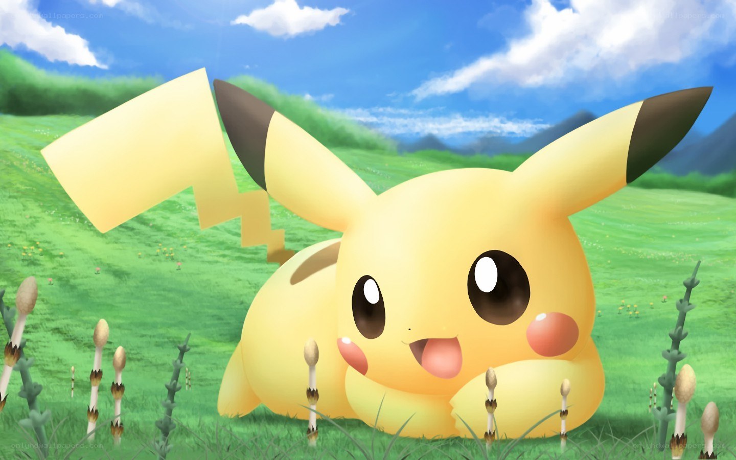 Pikachu in a grassy field