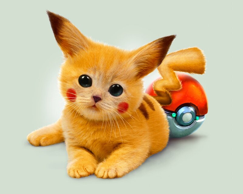 Pikachu Kitten — Orange
