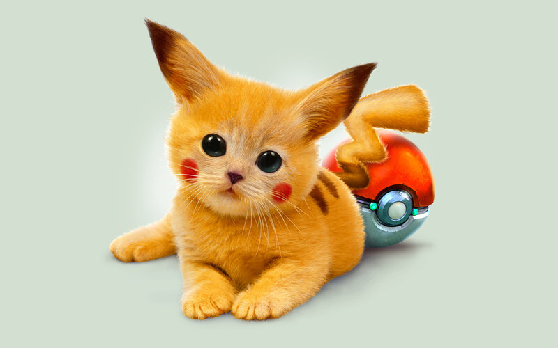 Pikachu Kitten