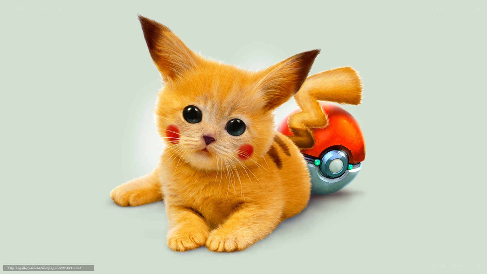 Pikachu kitten with Poké Ball