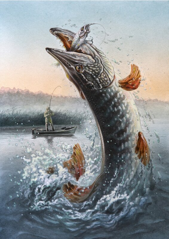 Pike leaping from water