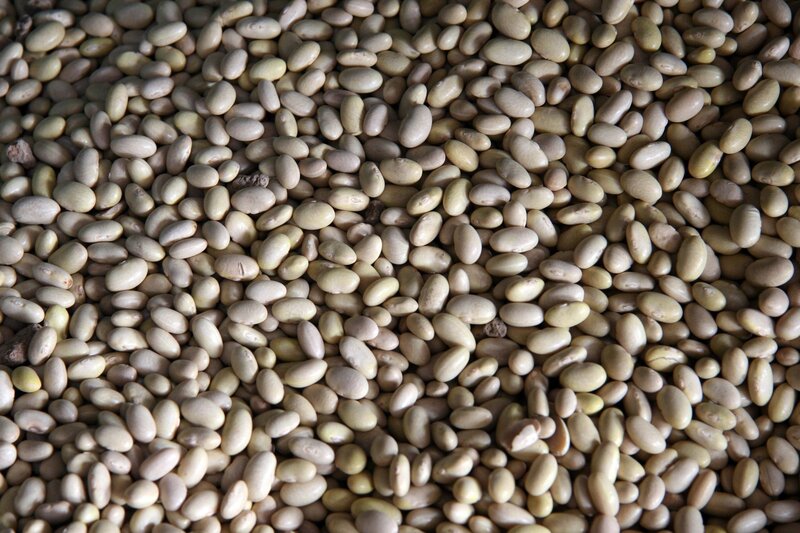 pile of dried beans