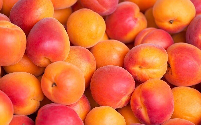 Pile of Fresh Apricots — Orange