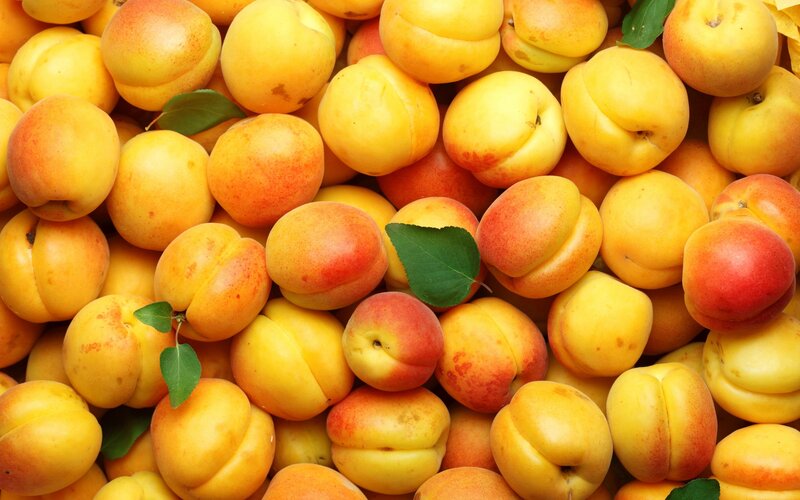 Pile of Fresh Apricots