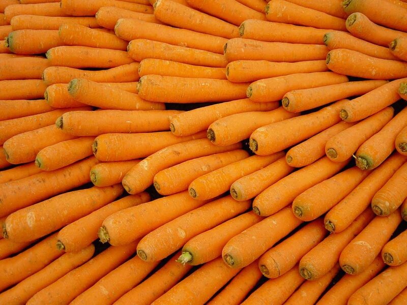 pile of fresh carrots