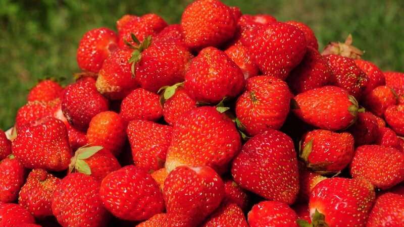 Pile of Fresh Strawberries — Red, Natural, Afternoon