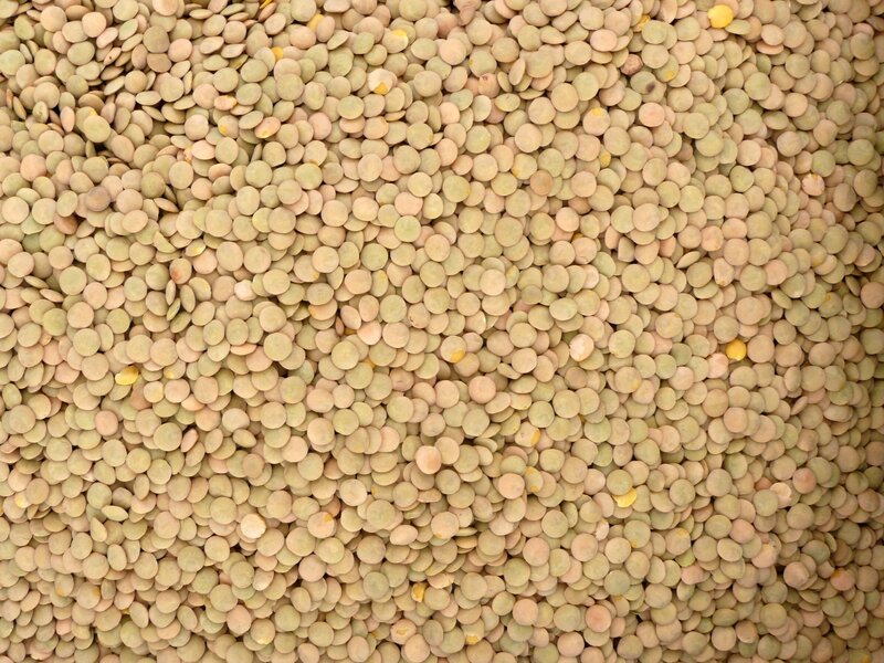 pile of green lentils