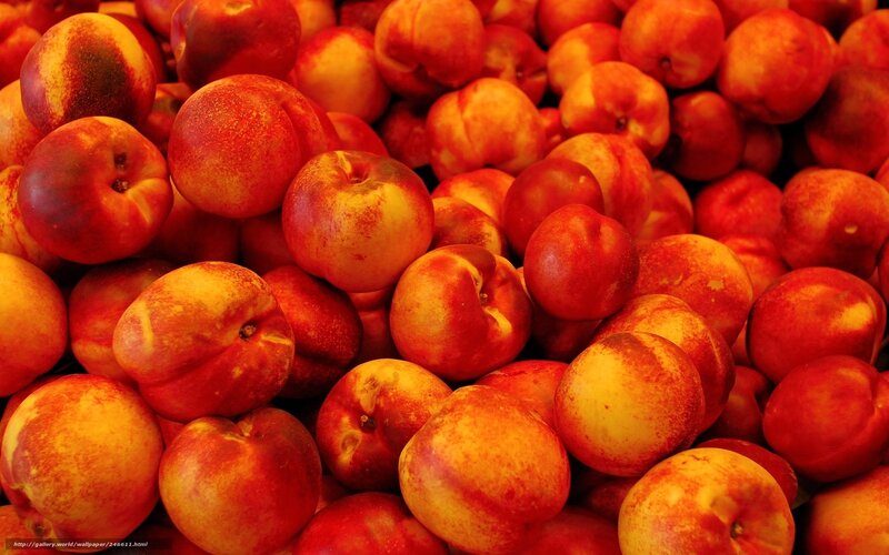 Pile of Nectarines — Red