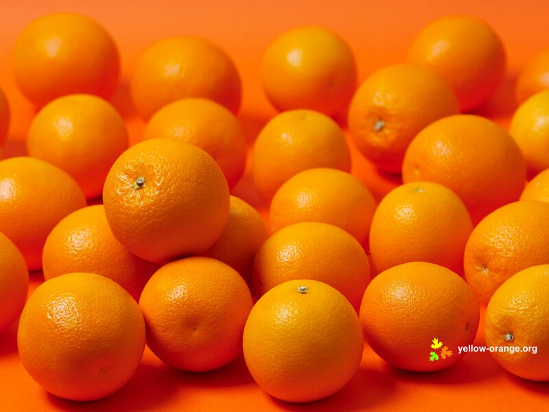 Pile of Oranges — Orange, Vibrant